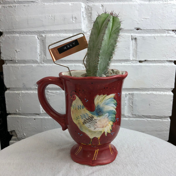 Elaine’s Retro Plants more
