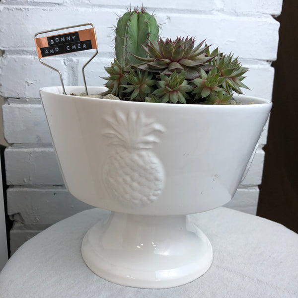 Elaine’s Retro Plants more