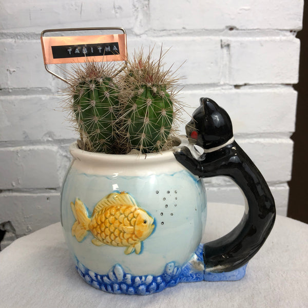 Elaine’s Retro Plants more