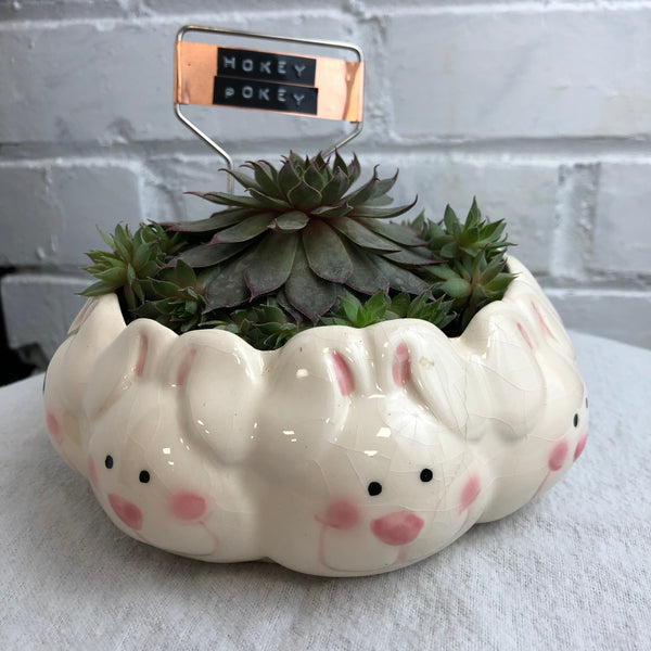 Elaine’s Retro Plants more