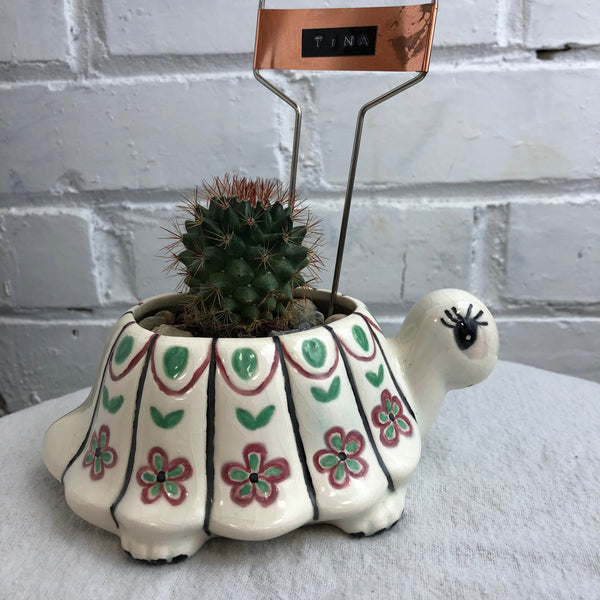 Elaine’s Retro Plants more