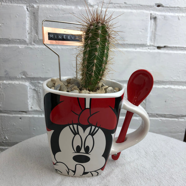 Elaine’s Retro Plants more
