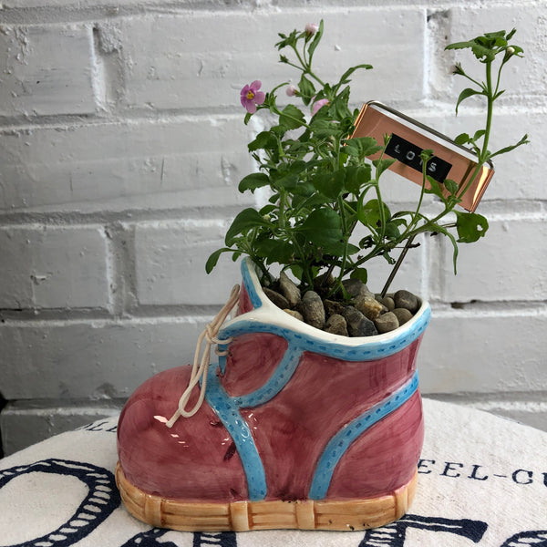 Elaine’s Retro Plants more