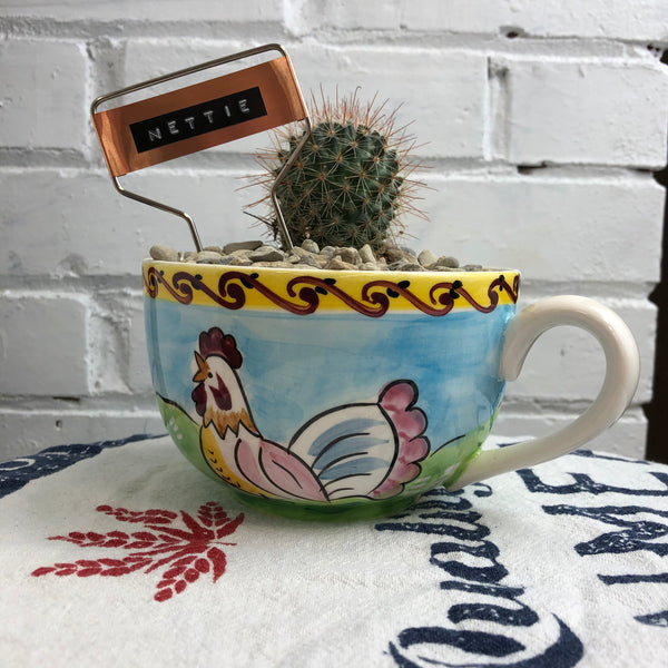 Elaine’s Retro Plants more
