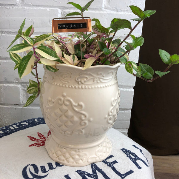 Elaine’s Retro Plants more