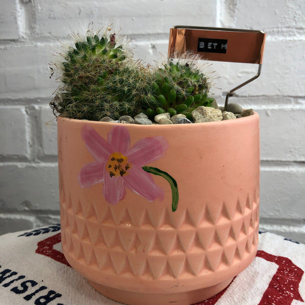 Elaine’s Retro Plants more