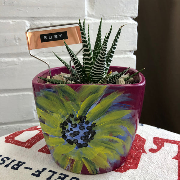 Elaine’s Retro Plants more