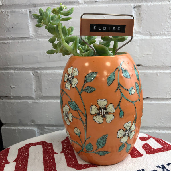 Elaine’s Retro Plants more