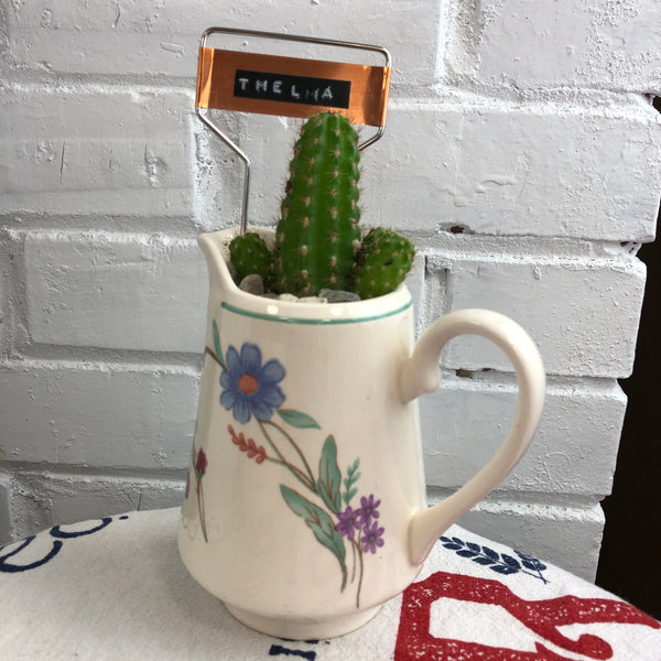 Elaine’s Retro Plants more