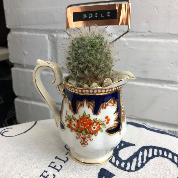 Elaine’s Retro Plants more