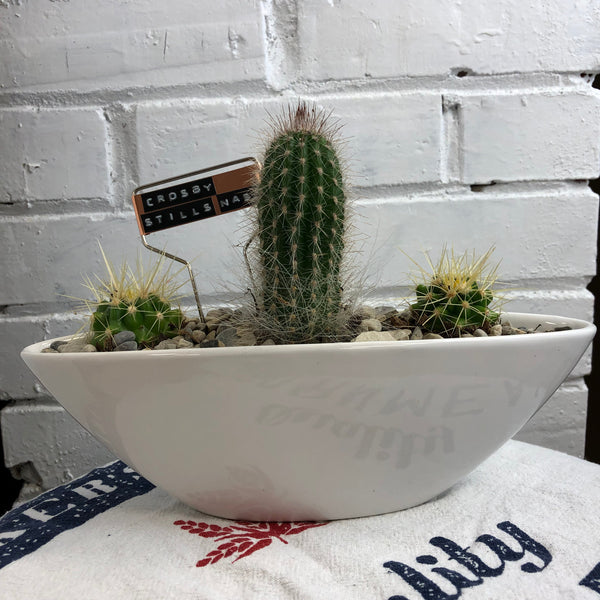 Elaine’s Retro Plants more
