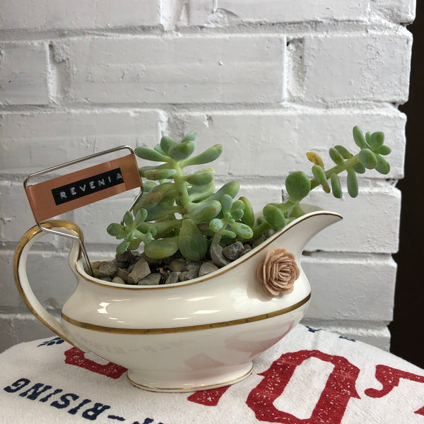 Elaine’s Retro Plants more