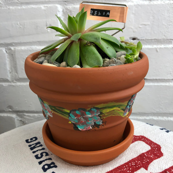 Elaine’s Retro Plants more