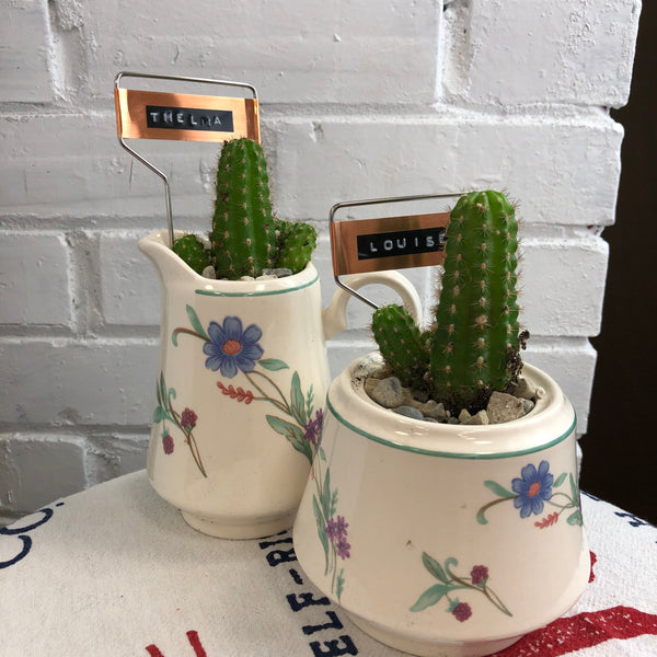 Elaine’s Retro Plants more