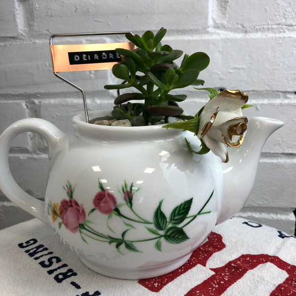 Elaine’s Retro Plants more