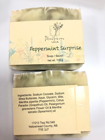 Soap Peppermint Surprise Bar