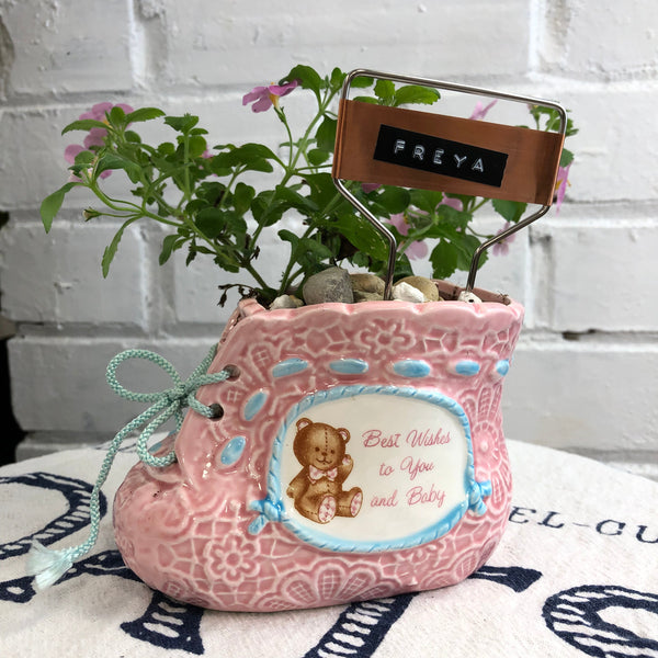 Elaine’s Retro Plants more