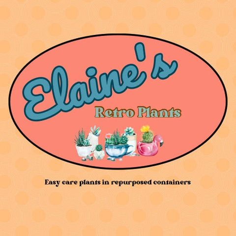 Elaine’s Retro Plants more