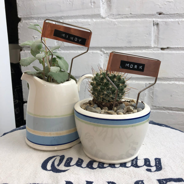 Elaine’s Retro Plants more