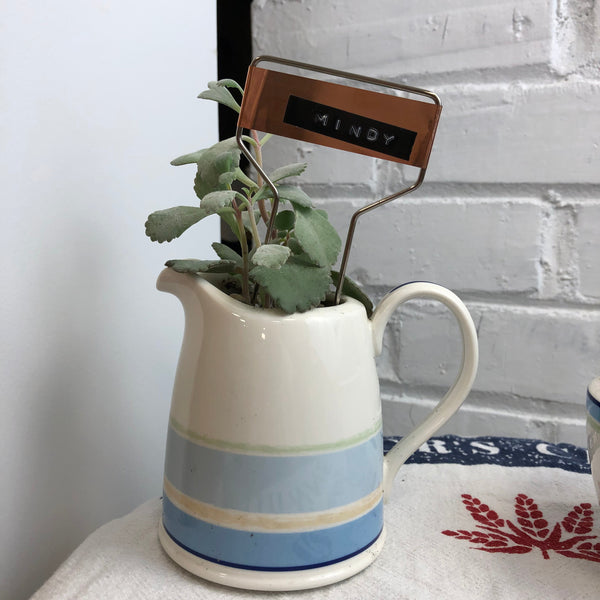 Elaine’s Retro Plants more