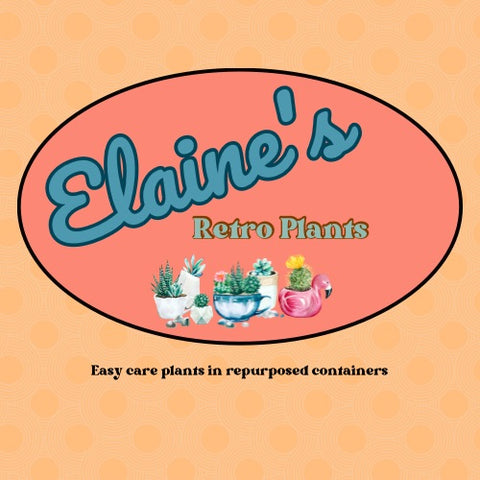 Elaine’s Retro Plants