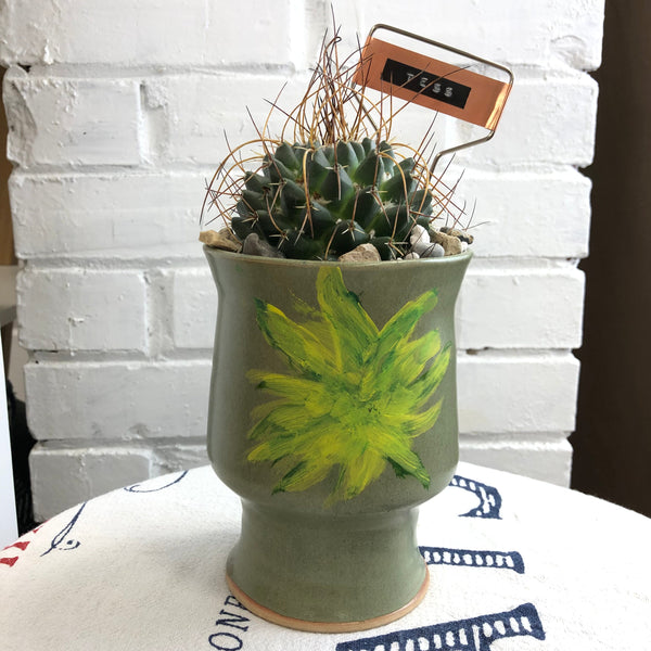 Elaine’s Retro Plants more