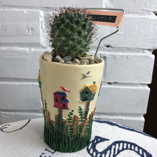 Elaine’s Retro Plants more