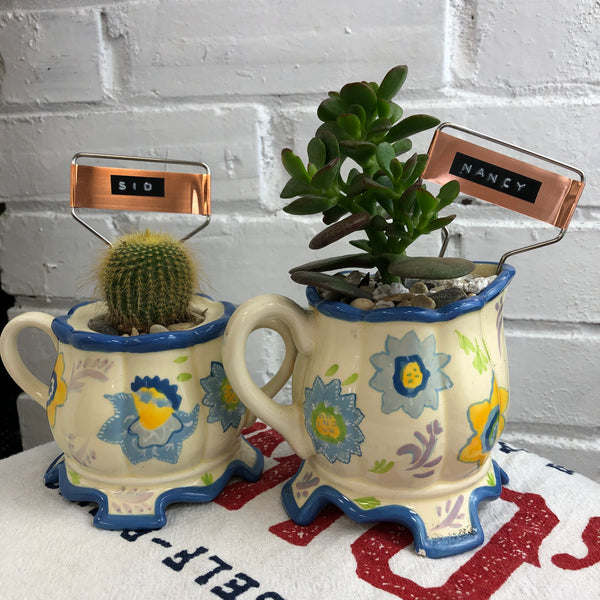 Elaine’s Retro Plants