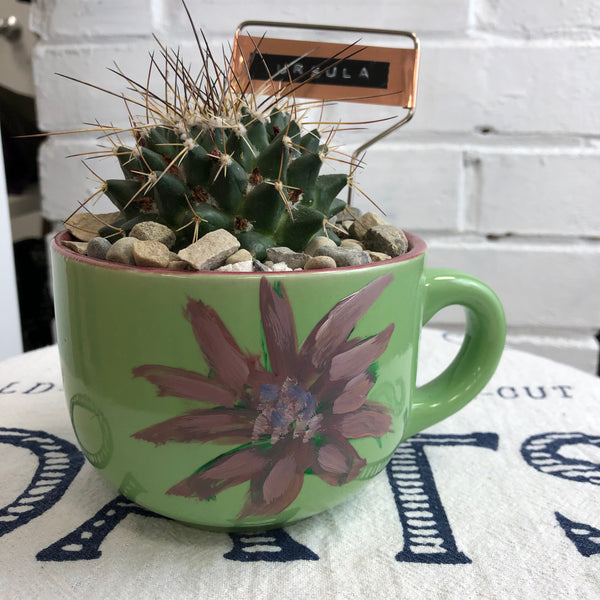 Elaine’s Retro Plants more