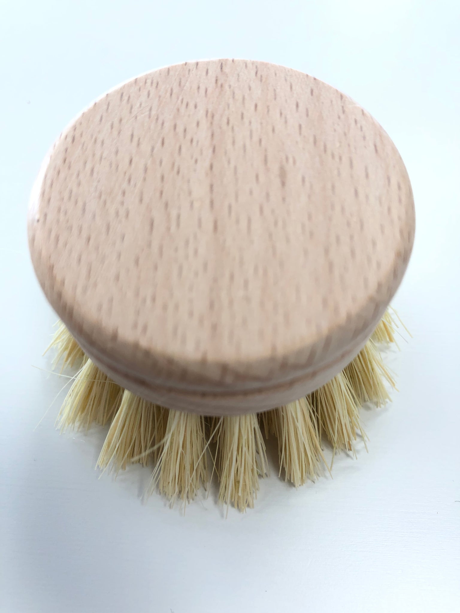 Wooden Dish Brush Replacement Head